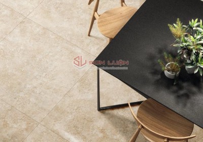Gạch Ốp Lát APODIO 66454504